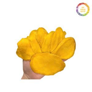 Wholesale soft <b>dried</b> <b>mango</b> low cost bulk supplier tasty chewy fruit snack high quality tropical <b>mango</b> slices suitable - Product Image 4