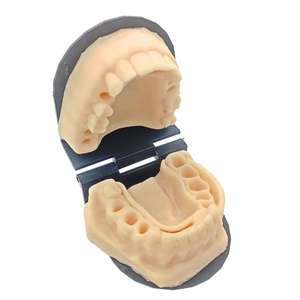 เครื่องมือผ่าตัดด้วยตนเอง747400071C43แบบจำลองการเย็บซิลิโคนสำหรับจัดฟันบริเวณขากรรไกรล่าง - Product Image 2