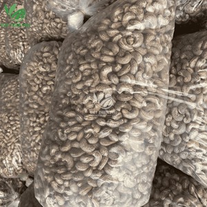 Noix de cajou grillées enrobées à saveur de noix de coco, approvisionnement OEM, vente en gros en vrac de qualité supérieure, exportation, saveur tropicale croquante - Product Image 6