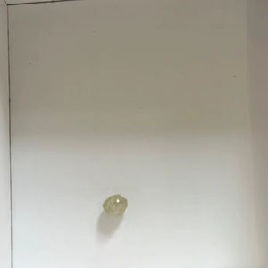 Diamantes en bruto de primera calidad de Botsuana disponibles. También ofrecemos pepitas y barras de oro de Mozambique, 24 quilates, 98% de pureza. Suministro directo. - Product Image 1