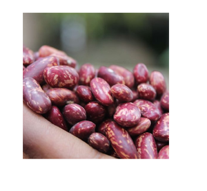 Haricots rouges mouchetés de qualité supérieure emballés en vrac à bas prix pour les cuisiniers à domicile et les amateurs de cuisine - Product Image 1