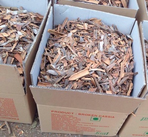 Mejor precio en Vietnam Origen Casia seca/Canela Certificaciones de exportación completa Confiabilidad garantizada + 84 359318390 - Product Image 4