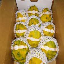 Dragón rojo de frutas frescas de grado premium a la venta a precios competitivos - Product Image 6