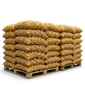 Patatas frescas para procesamiento de alimentos Suministro al por mayor a granel para supermercados y minoristas Ordene ahora para obtener las mejores tarifas - Product Image 1
