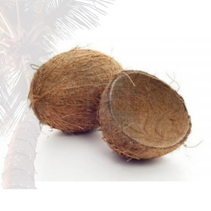 2025 chaud! Ensemble de service en bois vintage écologique, bol en coquille de noix de coco de haute qualité, fabriqué à la main au Vietnam, personnalisé pour la décoration - Product Image 1