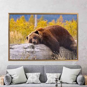 Modern Printed Canvas: Brown Bear Resting on a Log Wall Art,1P:Gold <b>Framed</b> - Product Image 1