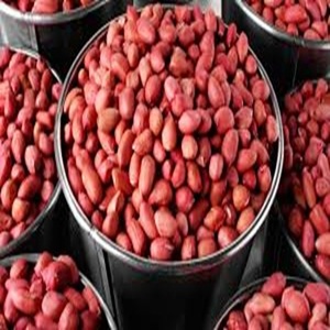 Arachides grillées naturelles brutes, saveur douce et peau rouge vif, en vente au prix d'usine - Product Image 1