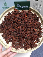 Anis étoilé naturel séché non transformé, sélectionné en usine, provenance Vietnam, tri soigné, teneur élevée en huile, export compétitif