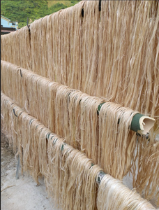 Fibre de banane durable pour la décoration intérieure et les articles artisanaux - Product Image 3