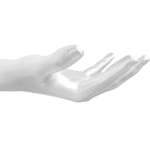 <b>NFL</b> Accessories Hand-Held <b>Ball</b> Holder with Wall Mount and 2 Screws - Product Image 6