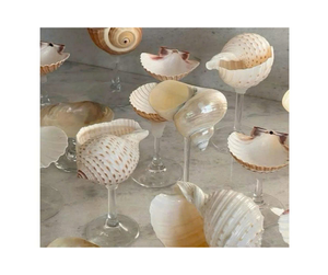 Beau verre de coquillage fait à la main pour boire et décoration de la maison Vaisselle Élégant verre de coquillage naturel Fournisseur du Vietnam - Product Image 3