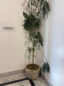 Jardinières en pierre antique réglables en hauteur pour salon et extérieur - Product Image 2