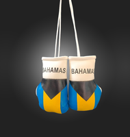 Venta al por mayor OEM personalizado Mini guantes de boxeo con diseño de Bandera de País PU cuero coche colgante llavero compras Bosnia Grecia Chile