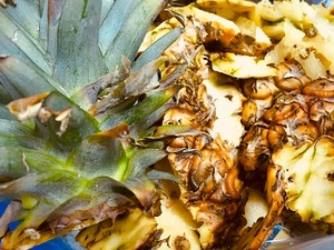 Pâte d'ananas/pâte d'ananas séchée pâte d'ananas séchée de qualité supérieure à haute teneur en protéines pour aliments pour animaux - Product Image 4