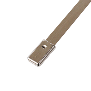 Steel Ball Stainless Steel Strap/Stainless Steel Ball <b>Lock</b> ZIP Ties - Product Image 2