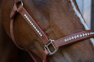 Vente en gros de licou de cheval en cuir de cognac, vente en gros de licou de cheval de qualité supérieure, pliable - Product Image 4