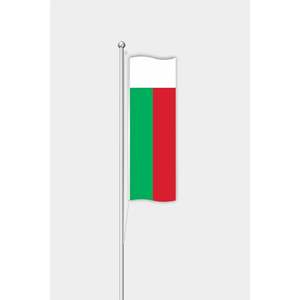 Drapeau vertical de Madagascar personnalisable 3x5 pieds, drapeau d'extérieur en coton de soie, matériaux en plastique, techniques d'impression numérique, aluminium - Product Image 1