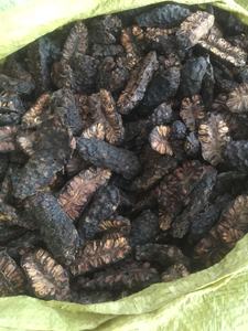 Fruta Noni seca de Morinda Citrifolia de primera calidad a la venta-Rodajas de hierbas al por mayor de Vietnam, fruta Noni seca de calidad Natural para exportación - Product Image 2