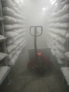 Carne en cubitos de coco blanco congelado en rodajas IQF Natural a granel empaquetado suministro de calidad de exportación tropical joven - Product Image 3