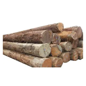 Prezzo di vendita caldo legname/legname/tronchi di legno di quercia alla rinfusa