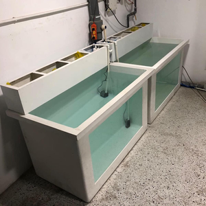 Bassin à poissons extérieur en fibre de verre renforcée (FRP) pour l'aquaculture et les bassins de pisciculture - Product Image 5