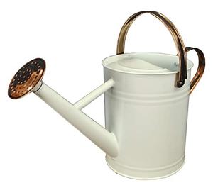 Regadera de hierro de Metal hecha a mano para riego de plantas verdes, diseño único, fabricante personalizado - Product Image 2