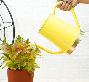 Regaderas modernas amarillas, riegan los hermosos accesorios de jardín de su mundo del arte de regar macetas y macetas - Product Image 1