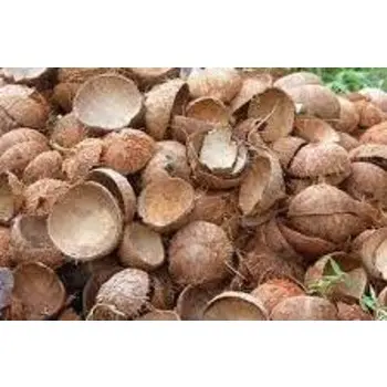 100% RAW COCONUT SHELLS BEST PRICE FOR MAKING CHARCOAL / BUY BULK CHEAP COCONUT SHELL FOR BBQ