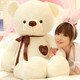 Aika OEM Ours en peluche géant personnalisé, rembourré en coton PP, pour anniversaire de mariage romantique, en gros - Product Image 5