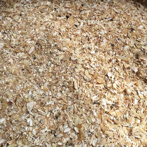 ผงกุ้งป่นคุณภาพสูงจากเวียดนาม | ปริมาณโปรตีนสูง - Product Image 5