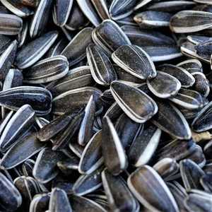 Meilleur fournisseur de graines de tournesol brutes transformées pour oiseaux - Product Image 2