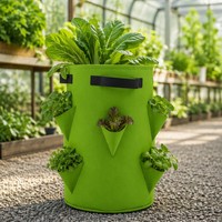 Sac de culture en feutre polyester avec poignées et poches latérales à niveaux pour légumes, serre, jardin, plantation extérieure, écologique