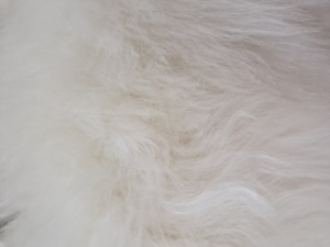 Thảm da cừu trắng tự nhiên với Len dài. Da Cừu tuyệt vời. Da cừu da. Thảm da cừu. Thảm - Product Image 3