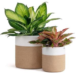 Jardinière en jonc de mer Panier Pots de plantes naturelles Conteneurs Décor incroyable Jardinière Donner un aspect naturel attrayant Votre maison et votre jardin - Product Image 3