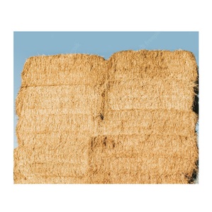 Fournisseur en gros de stock en vrac de foin d'avoine naturel pour chevaux et bovins/foin d'avoine séché expédition rapide - Product Image 6