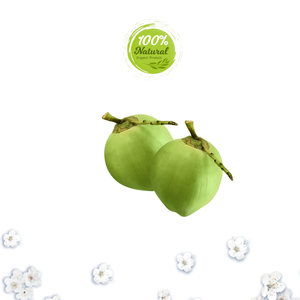 Noix de coco fraîche vietnamienne goût rafraîchissant produit agricole - Product Image 6