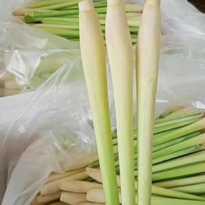 ตะไคร้แห้งเพื่อส่งออกชาสมุนไพร - Product Image 1