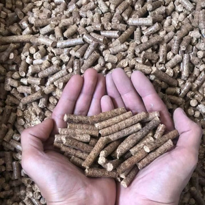 Combustible de Calefacción Eficiente y Ecológico: Pellets de Madera en Bolsas de 15 kg. Exportador con Sede en Europa que Sirve Mercados de Todo el Mundo. - Product Image 1