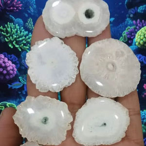 Cabujón de Cuarzo de Calidad AAA, Piedras Preciosas al por Mayor, Cabujón de Cuarzo Solar de Diseño, Piedras Preciosas Sueltas en Formas Mixtas - Product Image 1