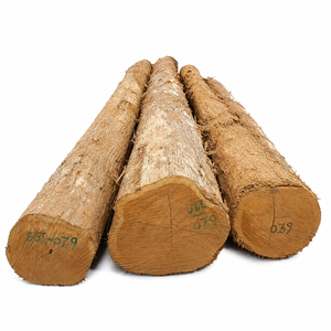 Bûches de teck d'Afrique de l'Ouest de qualité supérieure pour les acheteurs en gros - Product Image 5