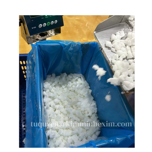 Emballage sous vide IQF de qualité supérieure lyophilisé Aloe Vera dés Cubes Cartons congelés Aloe Vera Vietnam nouveau produit eau - Product Image 2