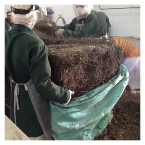 Vente en gros de gelée d'herbe noire du Vietnam pour chaînes de thé à bulles, gelée d'herbe noire de haute qualité en vrac pour l'exportation dans le monde entier - Product Image 2
