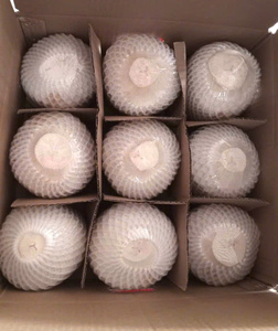 เพชรสด cocoonut ผลิตภัณฑ์ทางการเกษตรระดับพรีเมี่ยมสำหรับการทำให้สดชื่น - Product Image 5