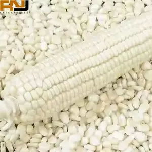 Mejor orgánico natural fresco maíz amarillo blanco glutinoso nutrición maíz dulce al por mayor - Product Image 2