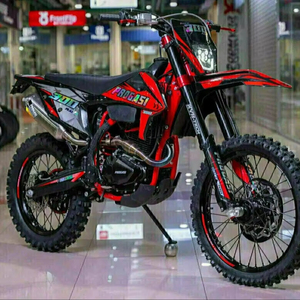 NUEVO PRODUCTO 2025 Progasis Racee 300 Delivery - Product Image 2