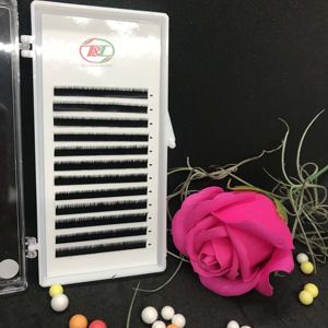 Etiqueta privada de alta calidad 0,03 Easy Fan Extensiones de pestañas individuales PBT coreanas Pestañas de volumen Premium - Product Image 3