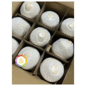 มะพร้าวสดใหม่พรีเมี่ยมจากเวียดนามรสธรรมชาติ - Product Image 4