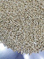 Anacardos Crudos Orgánicos de Tamaño Completo W320 W240 W450 Jumbo 100% Blancos, Nuez de Anacardo de Vietnam, Calidad Premium AA