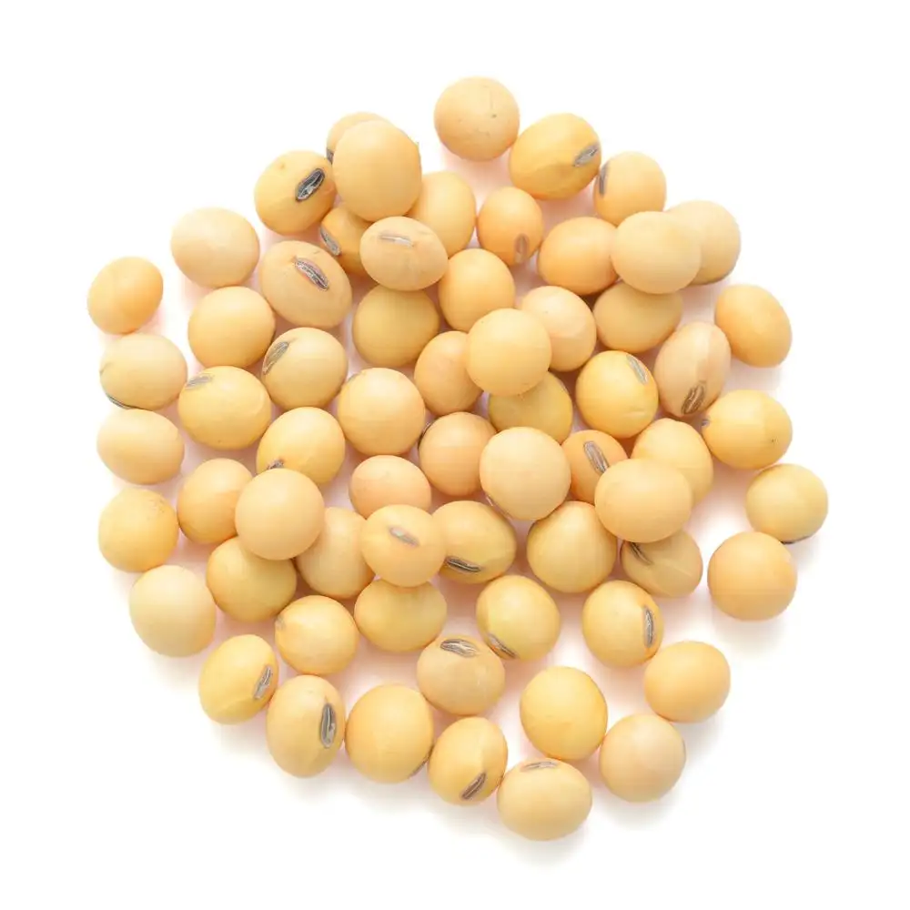 최고의 품질 천연 및 비 GMO 노란 콩 씨앗/콩/콩 하이 퀄리티 브라질 원산지 콩