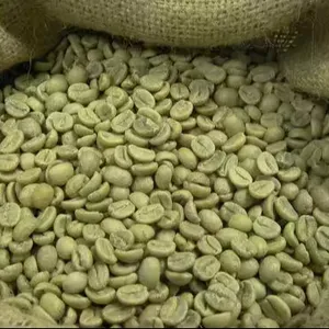 Verde Arabica chicchi di caffè/chicchi di caffè brasiliano per la vendita/etiopian Arabica chicchi di caffè
